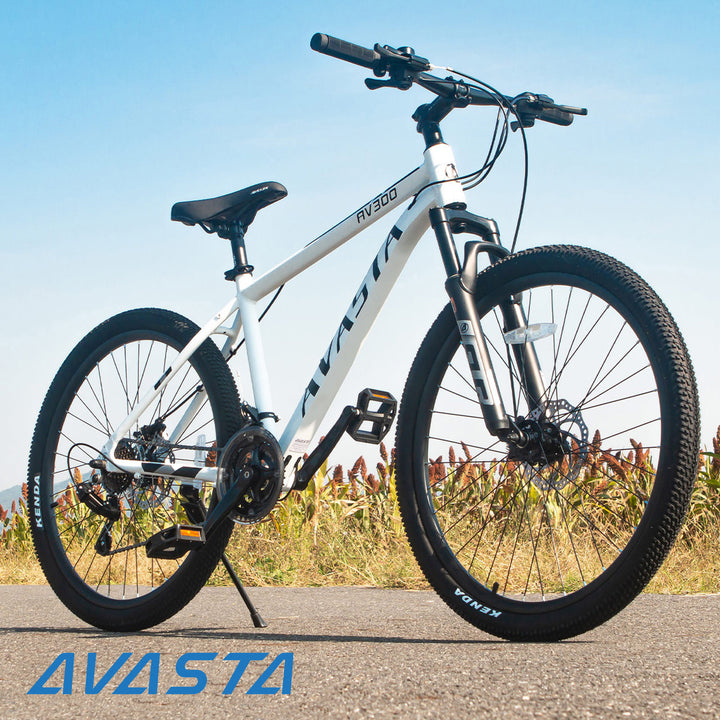 AV300