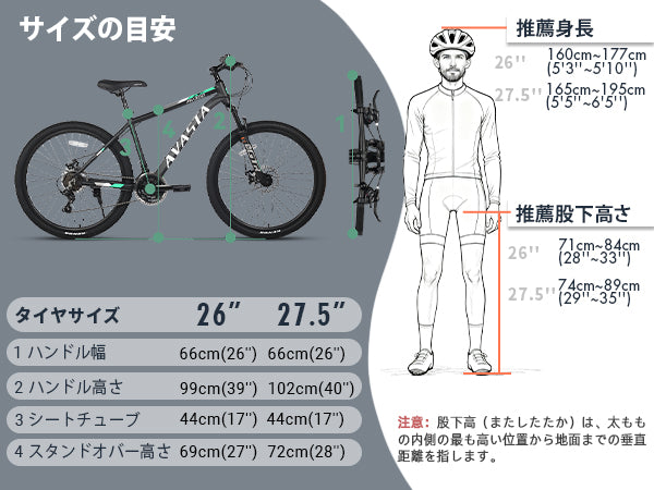 AV300 - サイズ表